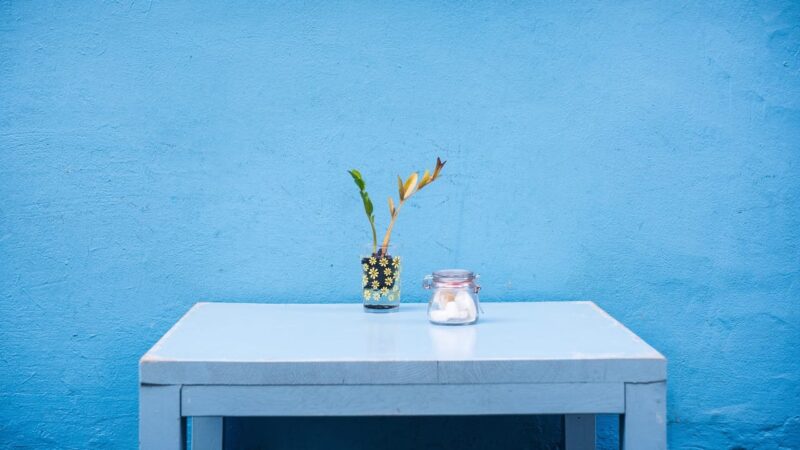 How to Care for Your Flowers and Keep Them Blooming Longer